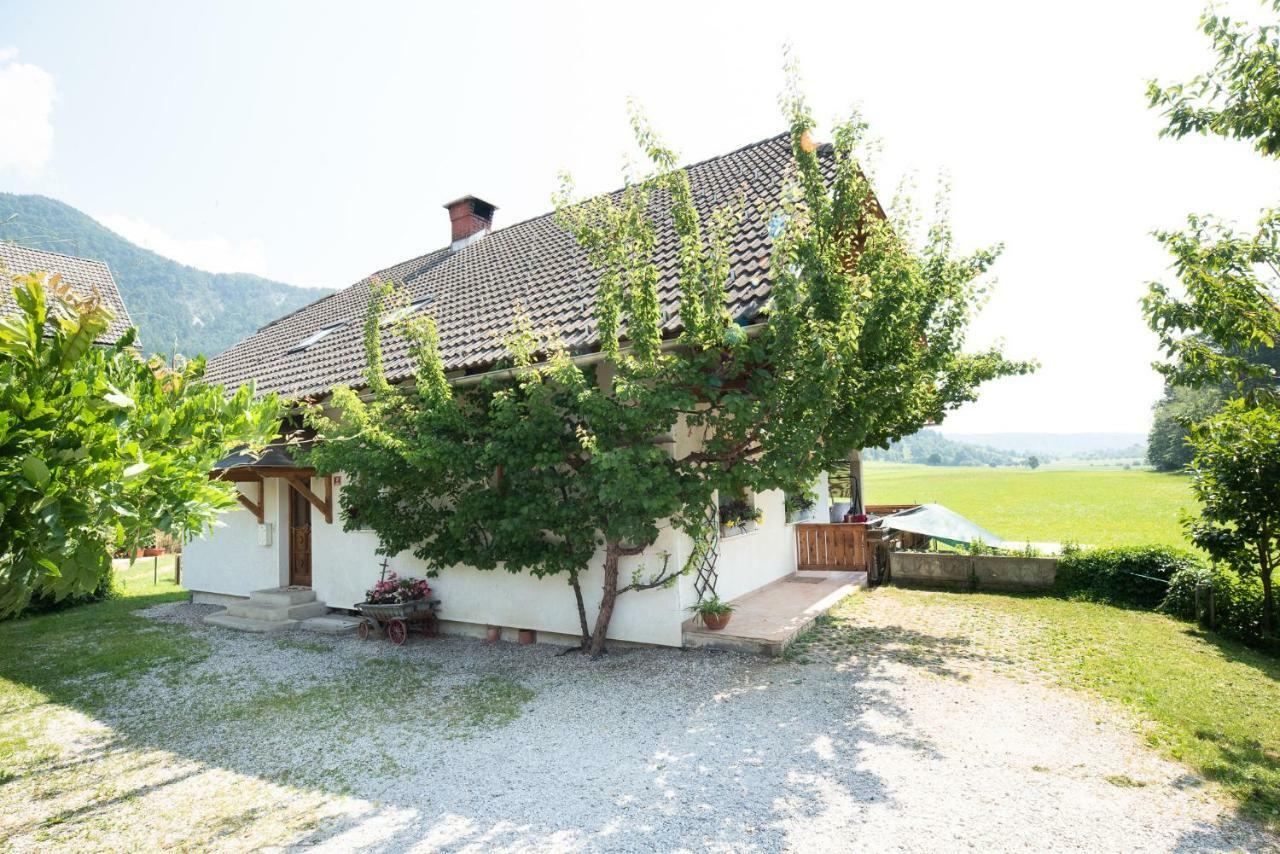 Mateja House - Apartments In Zirovnica Rodine Екстериор снимка